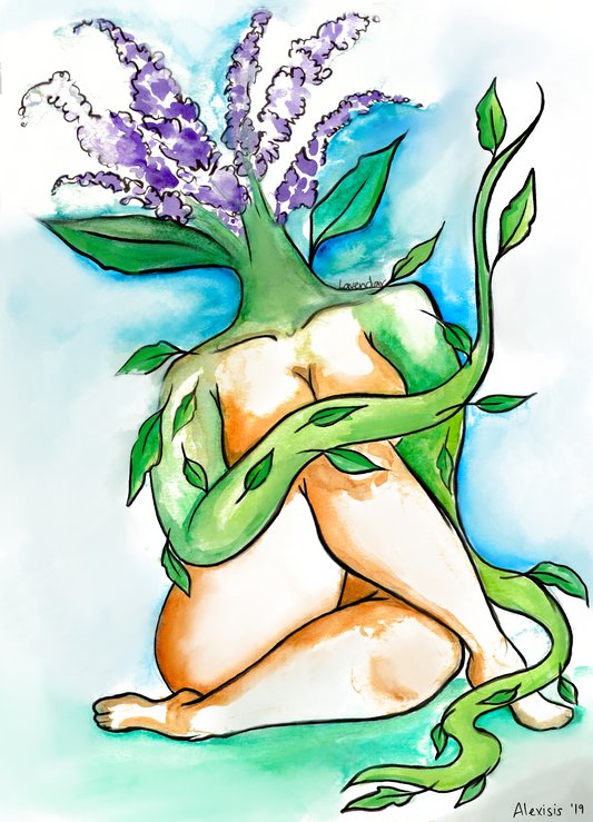 "Lady Lavender"