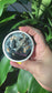 Black Tourmaline Pocket Mirror